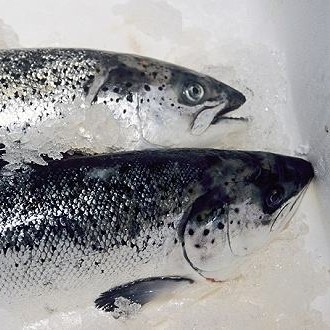 新發(fā)地三文魚案板檢測出新冠病毒，，北京多家超市連夜下架三文魚，北京新增三個病例